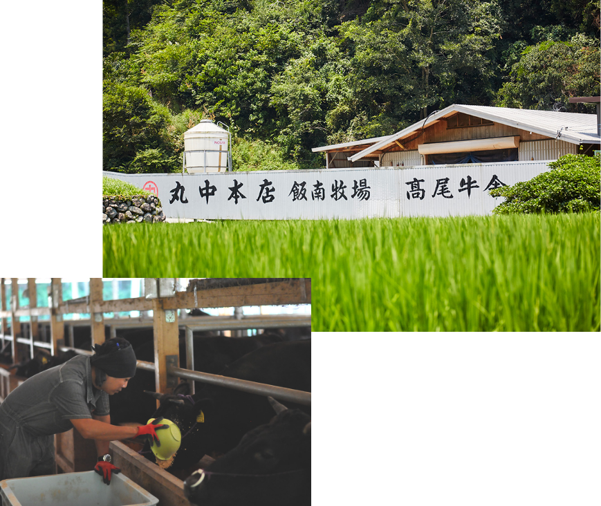 丸中本店