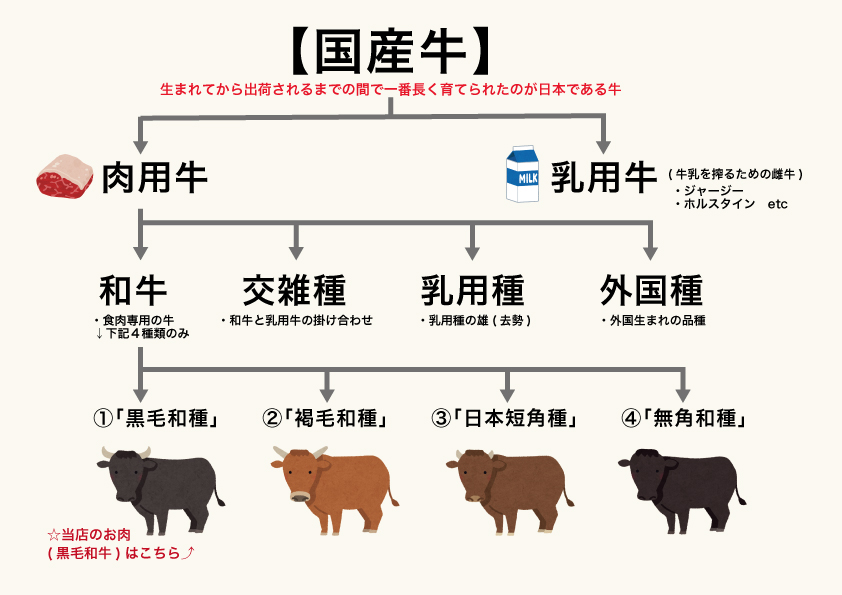 国産牛　黒毛和牛