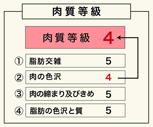 肉質等級