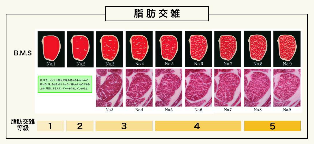 A5ランク　松阪牛　黒毛和牛