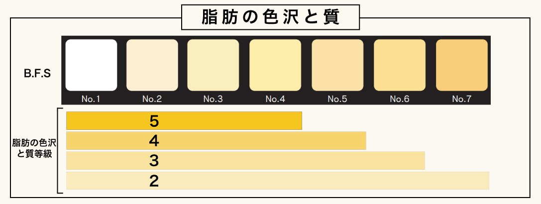 A5ランク　松阪牛　黒毛和牛