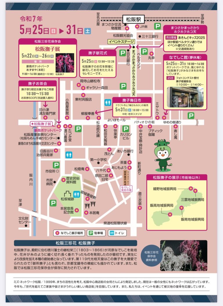 松阪撫子どんな花？祭り