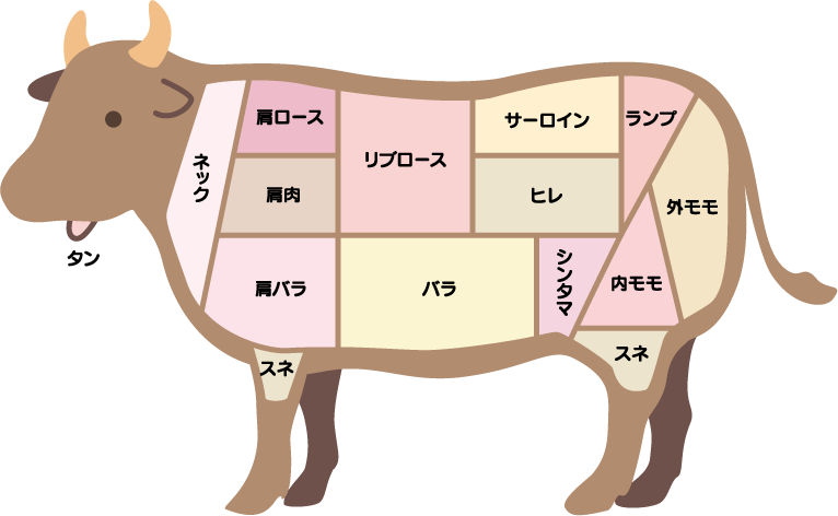 牛肉部位