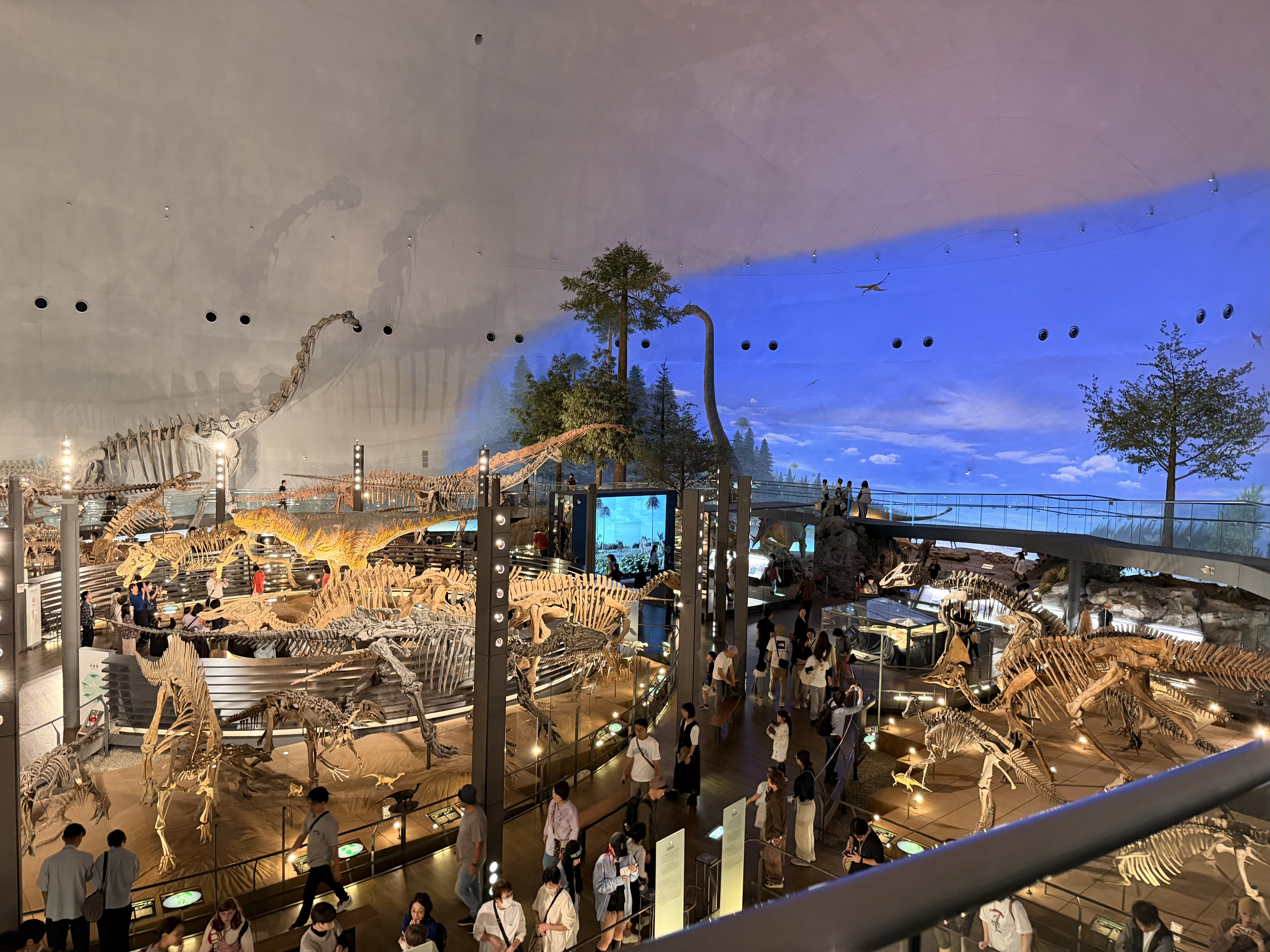 福井県立恐竜博物館(福井県勝山市村岡町寺尾